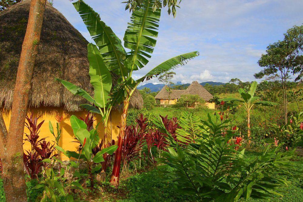 Huasquila Amazon Lodge Cotundo Εξωτερικό φωτογραφία