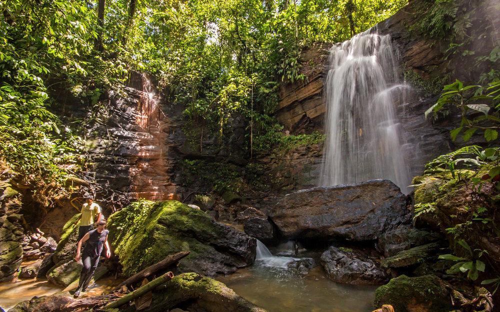 Huasquila Amazon Lodge Cotundo Εξωτερικό φωτογραφία