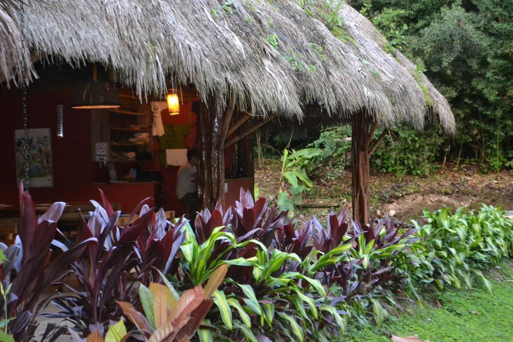 Huasquila Amazon Lodge Cotundo Εξωτερικό φωτογραφία