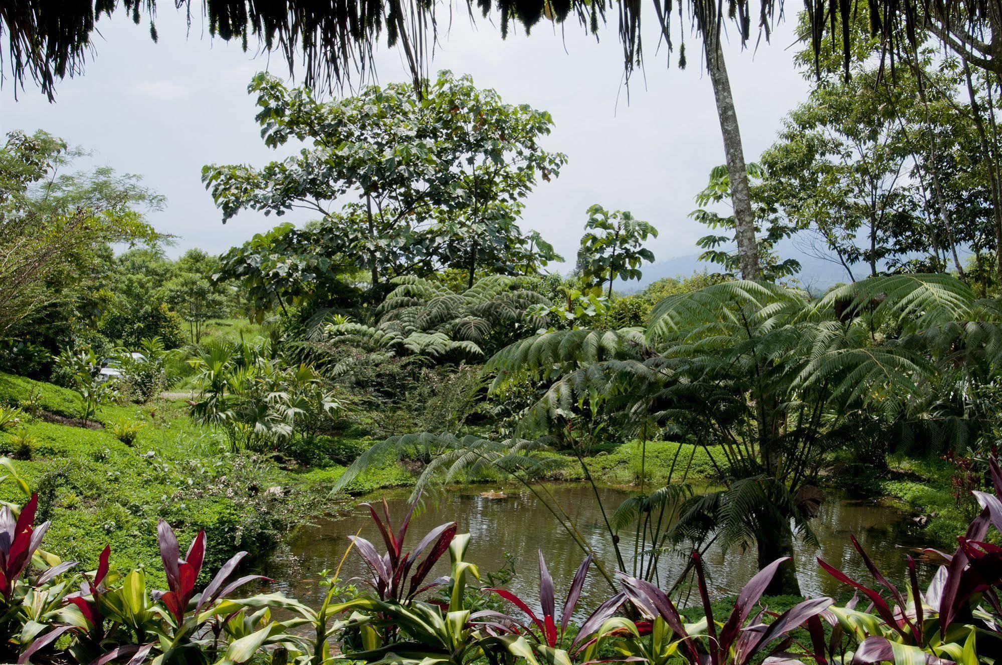 Huasquila Amazon Lodge Cotundo Εξωτερικό φωτογραφία