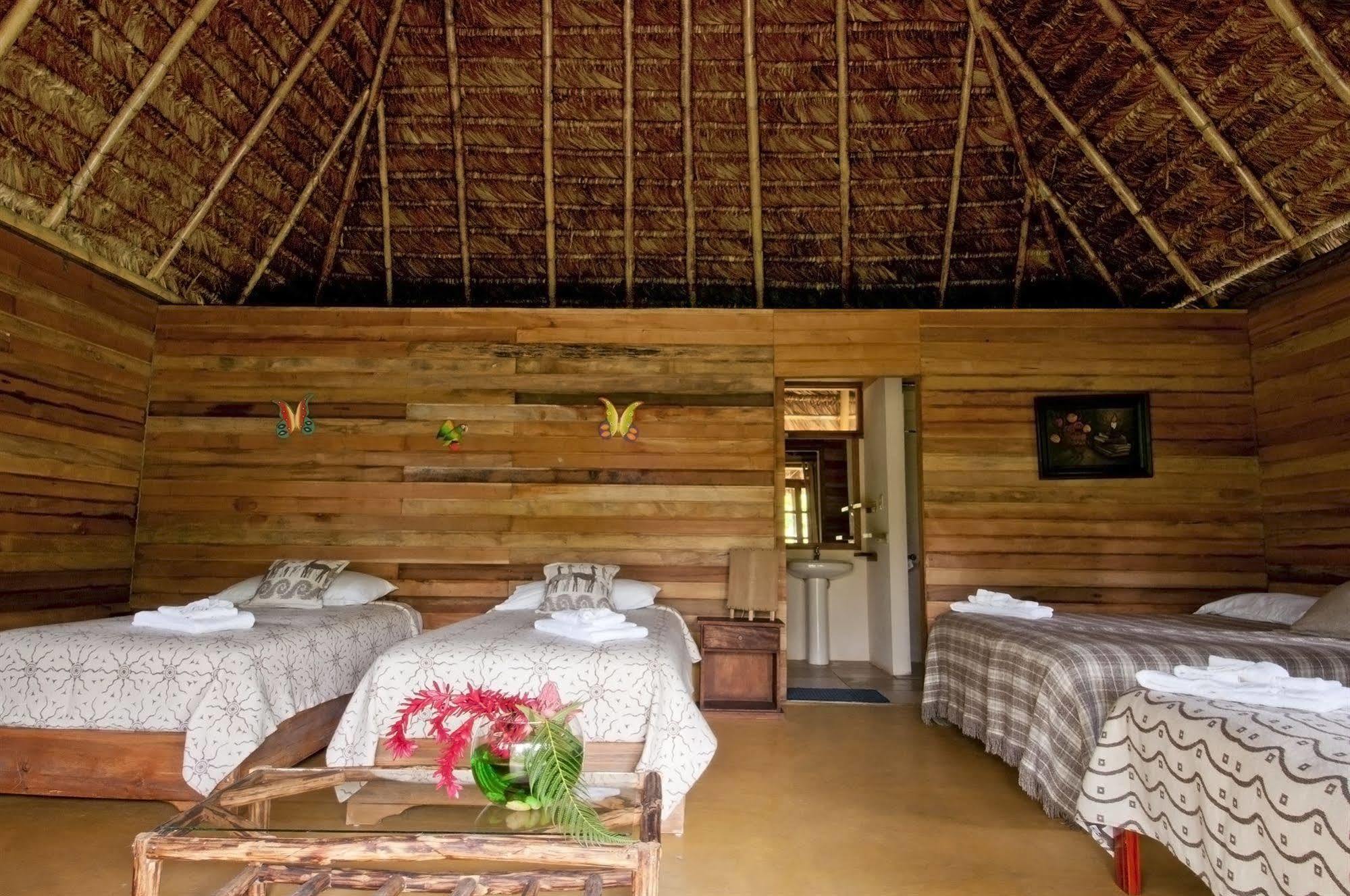 Huasquila Amazon Lodge Cotundo Εξωτερικό φωτογραφία
