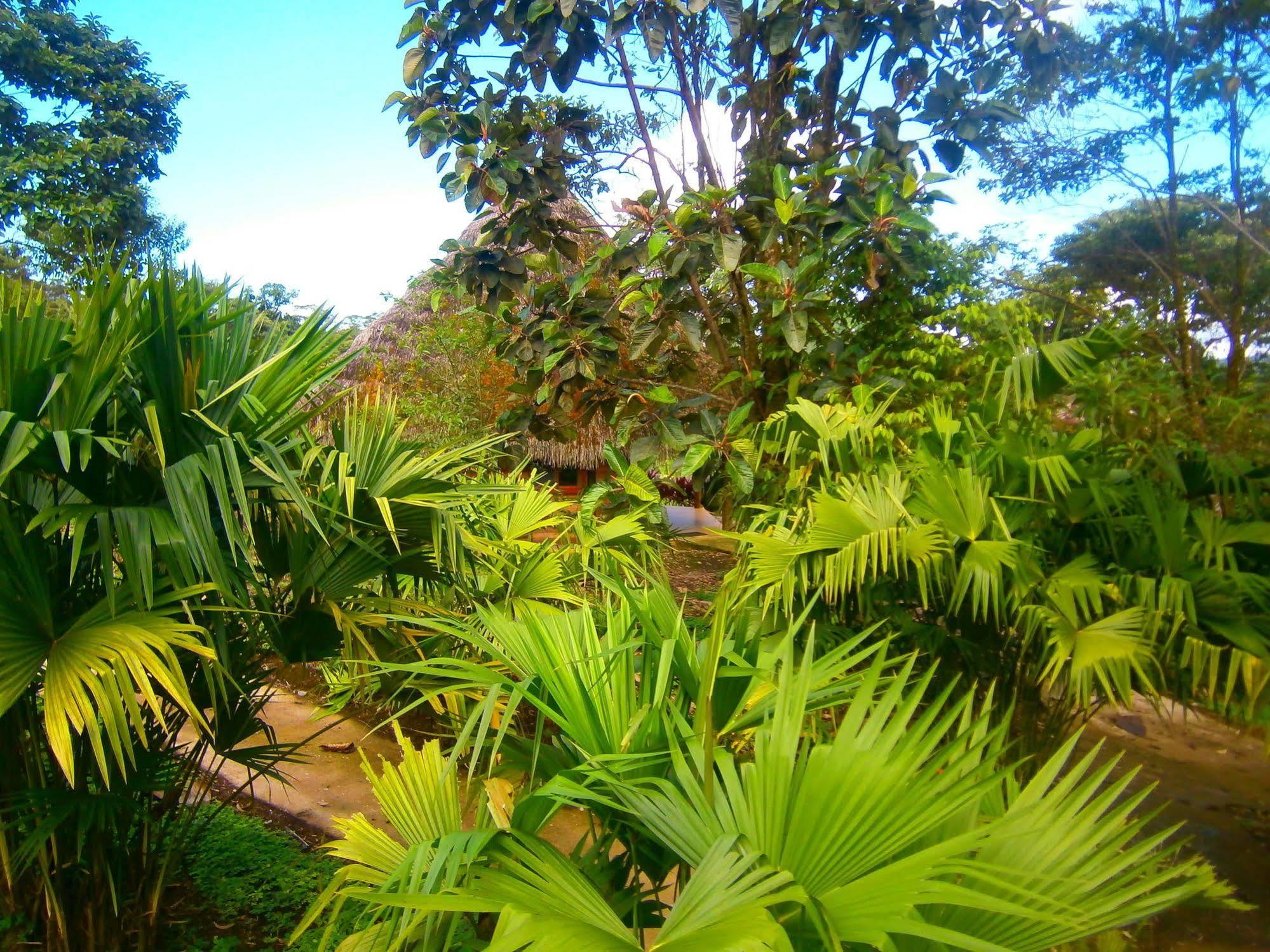 Huasquila Amazon Lodge Cotundo Εξωτερικό φωτογραφία