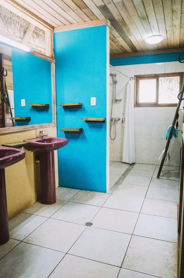 Huasquila Amazon Lodge Cotundo Εξωτερικό φωτογραφία